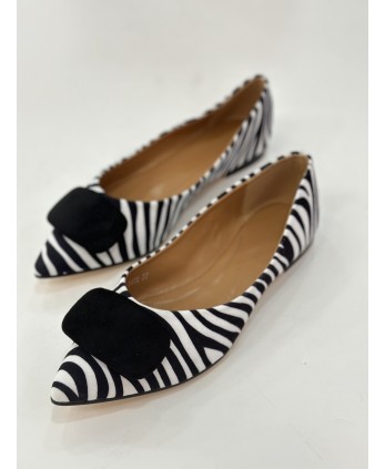 Manoletina Plasencia zebra