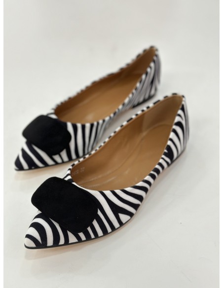 Manoletina Plasencia zebra