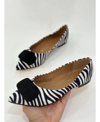 Manoletina Plasencia zebra 2