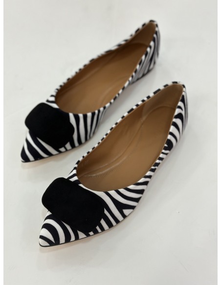 Manoletina Plasencia zebra