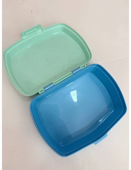 Sandwichera Capibara