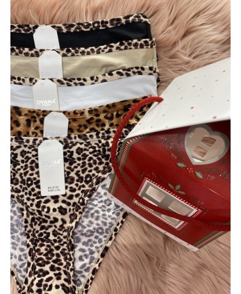 Pack CASA braguita Leo (4 unidades)