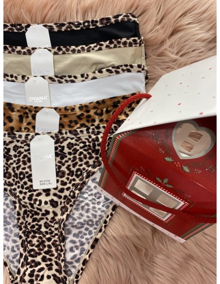 Pack CASA braguita Leo (4 unidades)