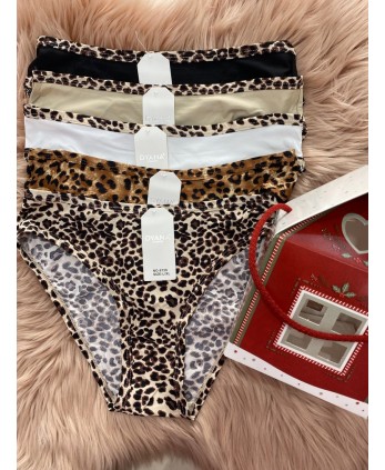 Pack CASA braguita Leo (4 unidades) 2