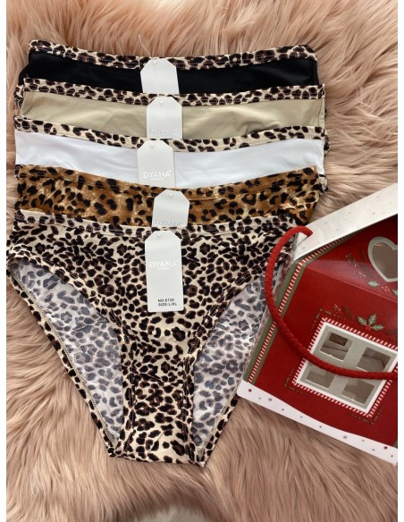 Pack CASA braguita Leo (4 unidades)