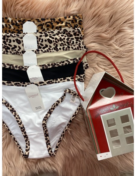 Pack CASA braguita Leo (4 unidades)