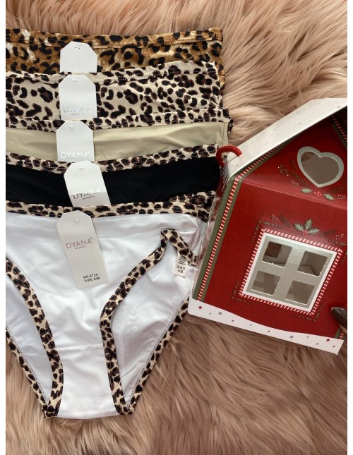 Pack CASA braguita Leo (4 unidades)