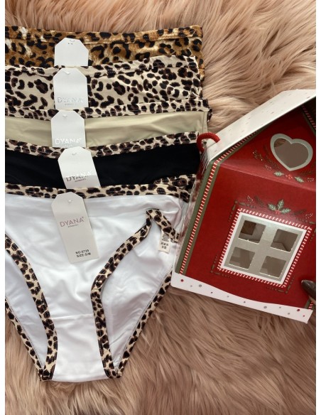 Pack CASA braguita Leo (4 unidades)