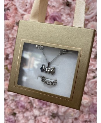 Conjunto FAMILIA plata 2